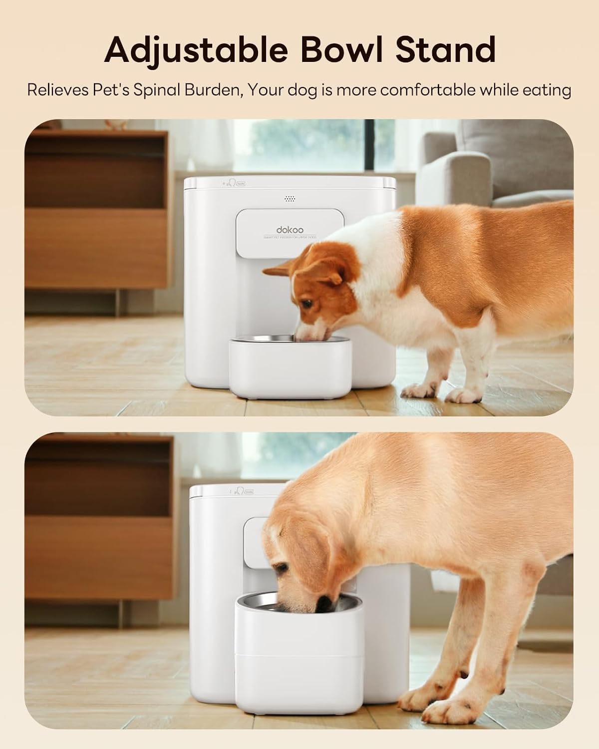 Dokoo Automatic Dog Feeder for Large Breeds, 15L/63 Cups Vacuum-Sealed | Airtight Auto Pet Feeder for Dry Food, Timed Feeding, Anti-Clog Dispenser 2-22mm Kibble, Voice Recorder, Stainless Steel Bowl